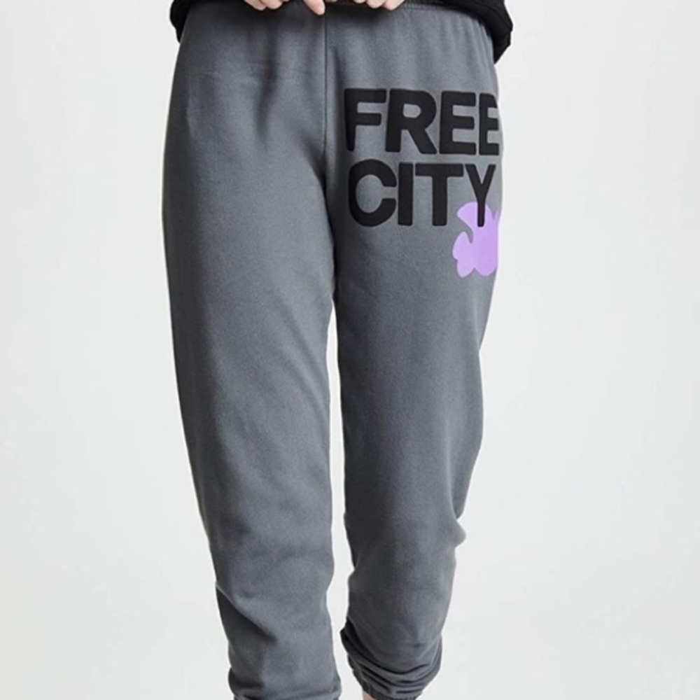Free City Grey and Purple sweatpants joggers